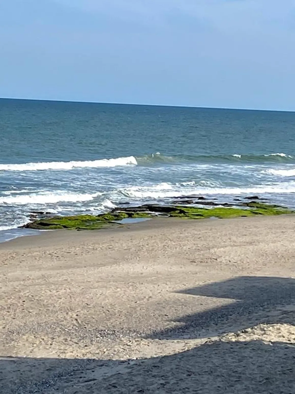A serene stretch of sandy beach lined with gentle ocean waves, rocky outcrops with green moss, and the open shoreline. The scene invites beachcombing, swimming, and collecting seashells, all under soft, natural light.